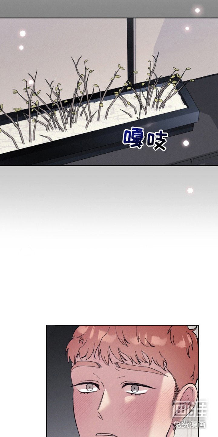 第5章：集中于我