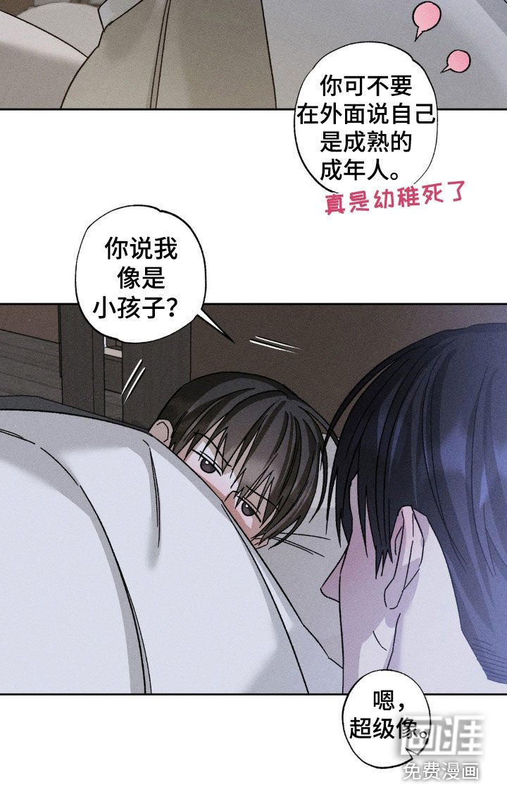 第28章：我改变主意了
