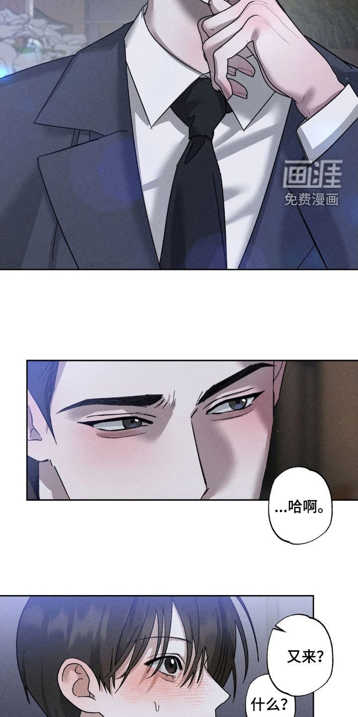 第41章：像白痴一样