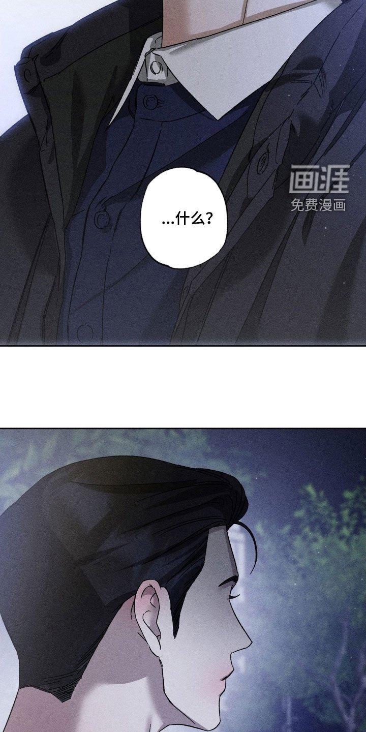 第41章：像白痴一样
