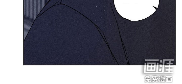 第41章：像白痴一样