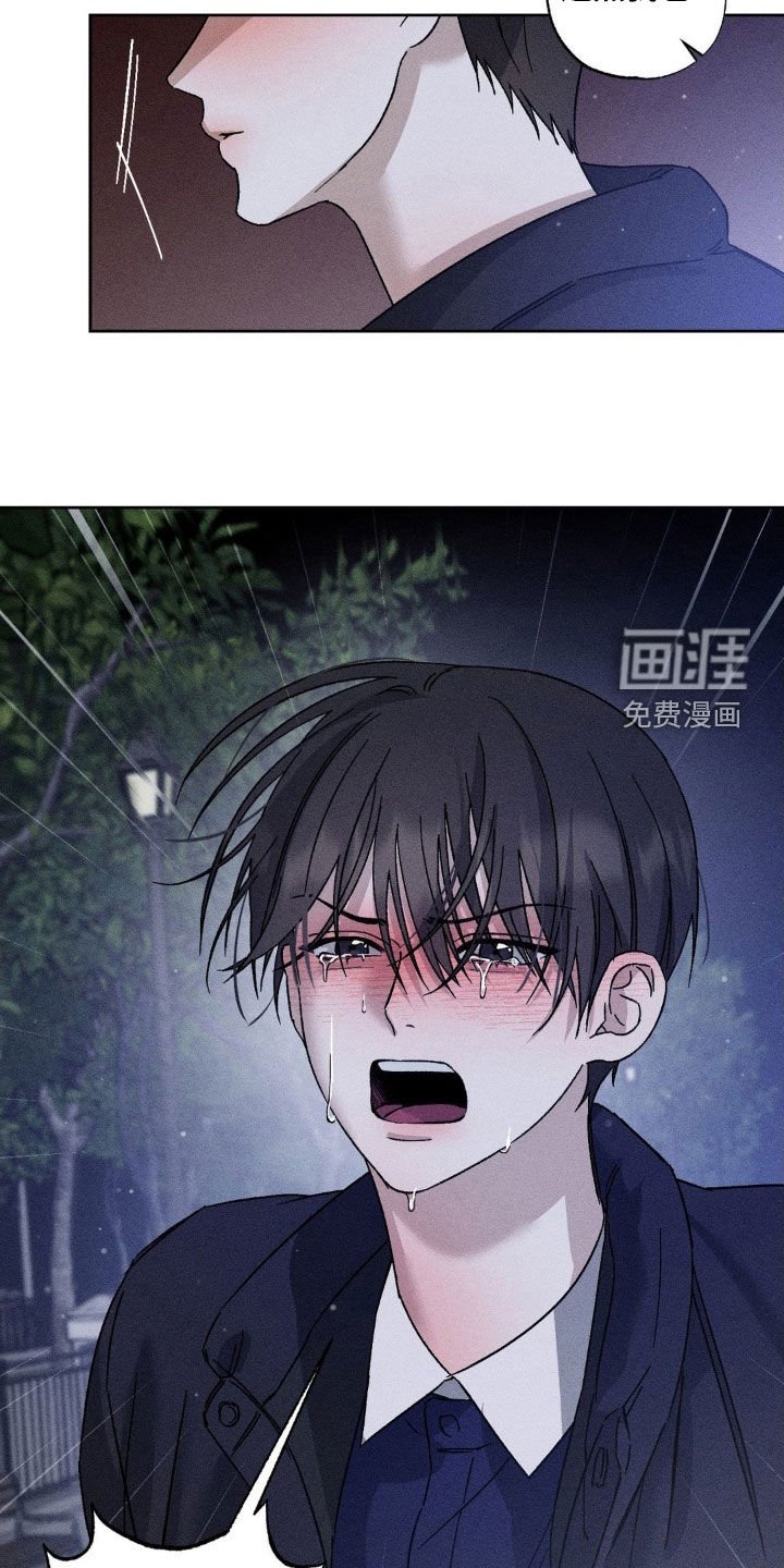 第42章：感情用事