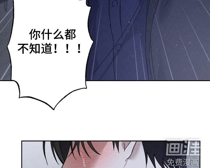 第42章：感情用事