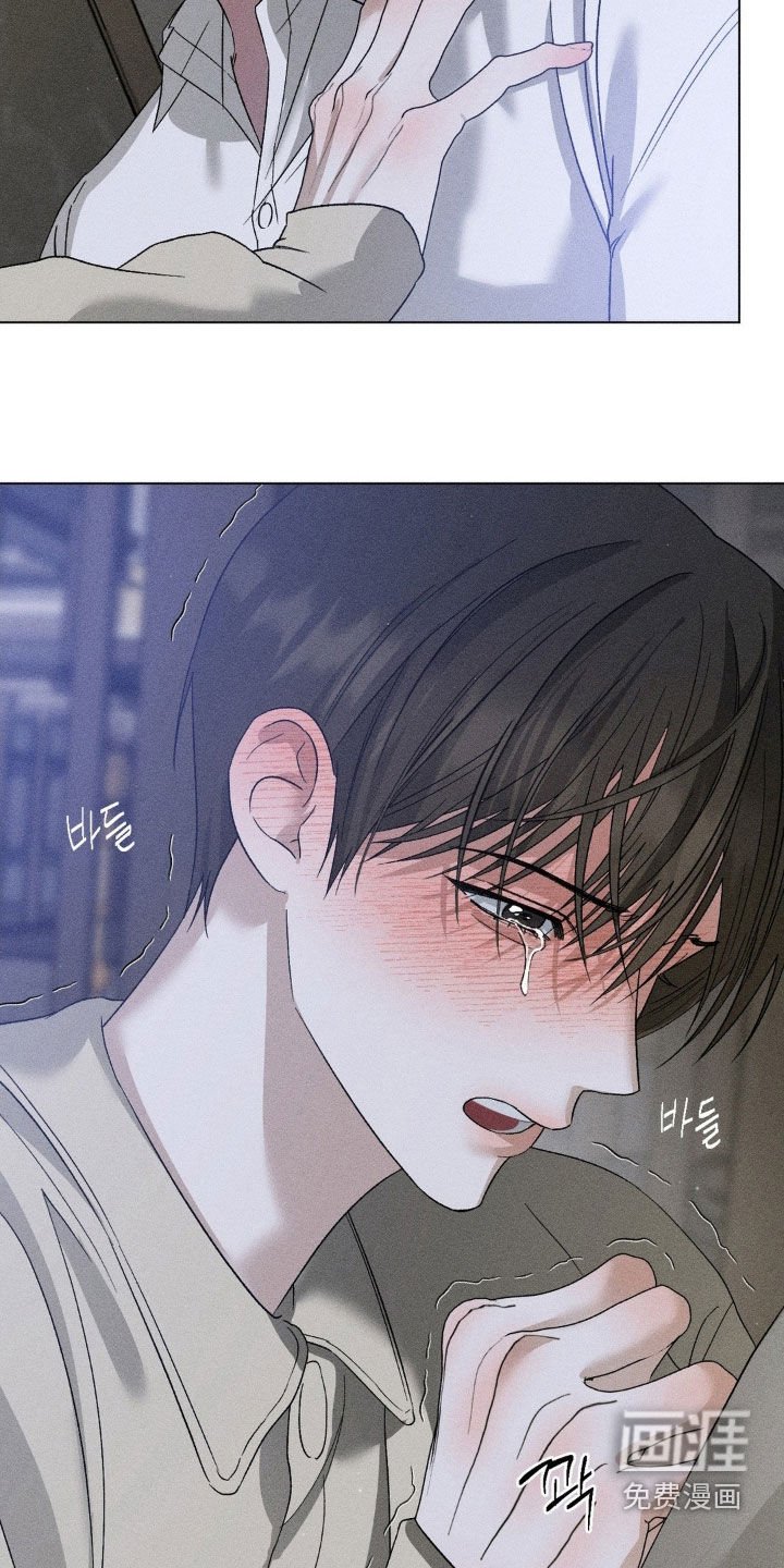 第48章：我要走了