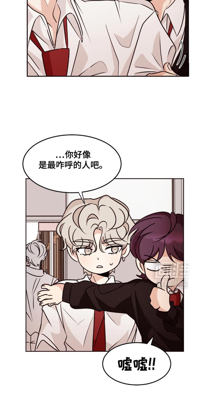第23章：到底是怎么回事？