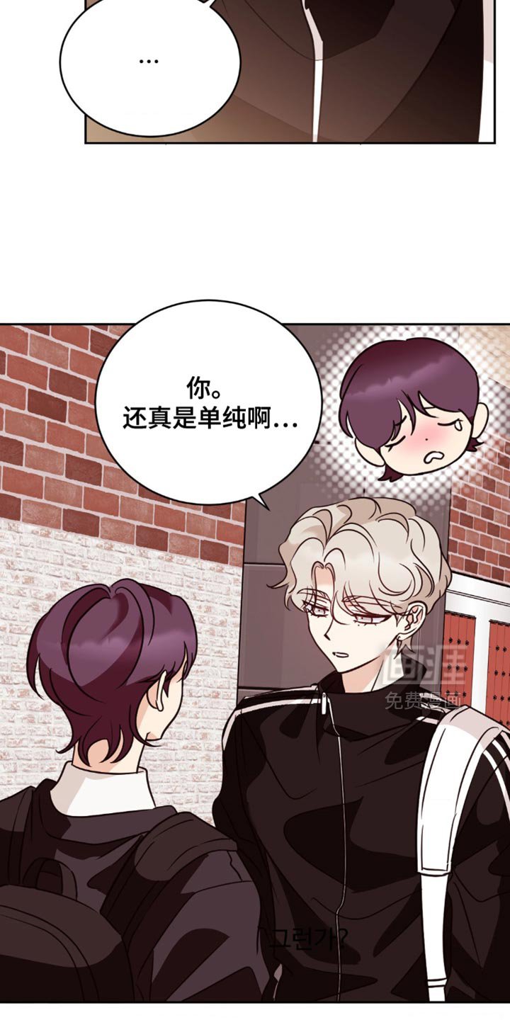 第46章：去我家看猫