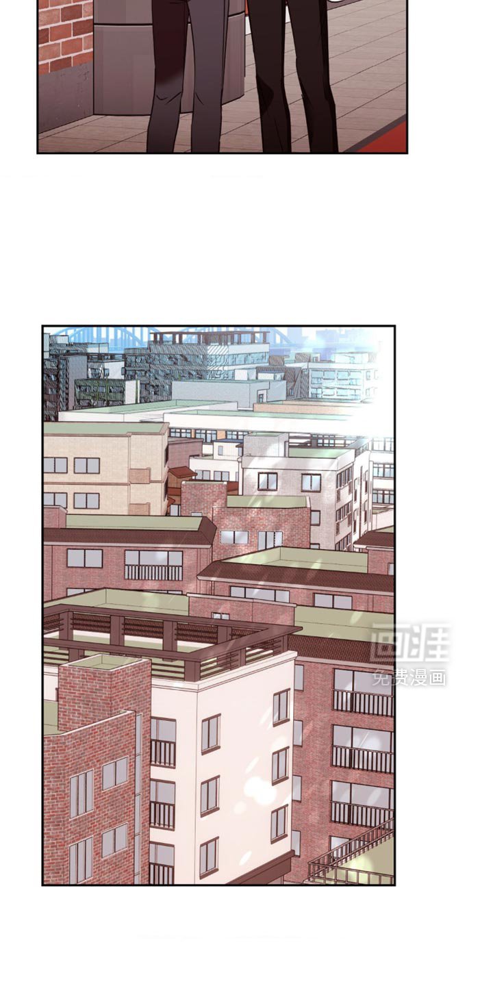 第46章：去我家看猫