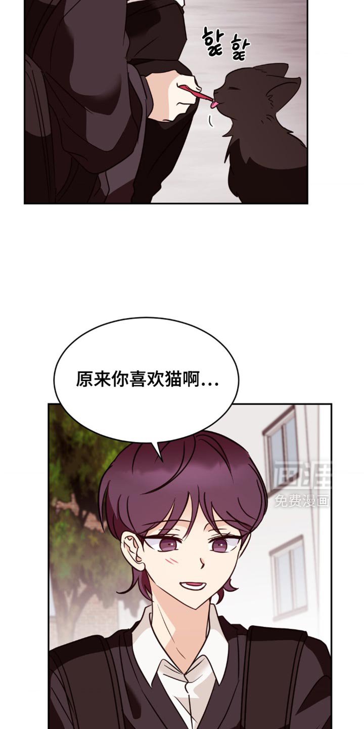 第46章：去我家看猫