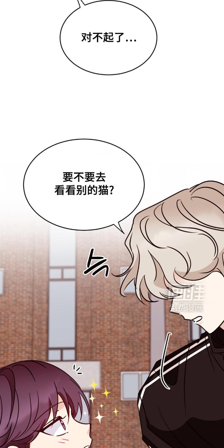 第46章：去我家看猫