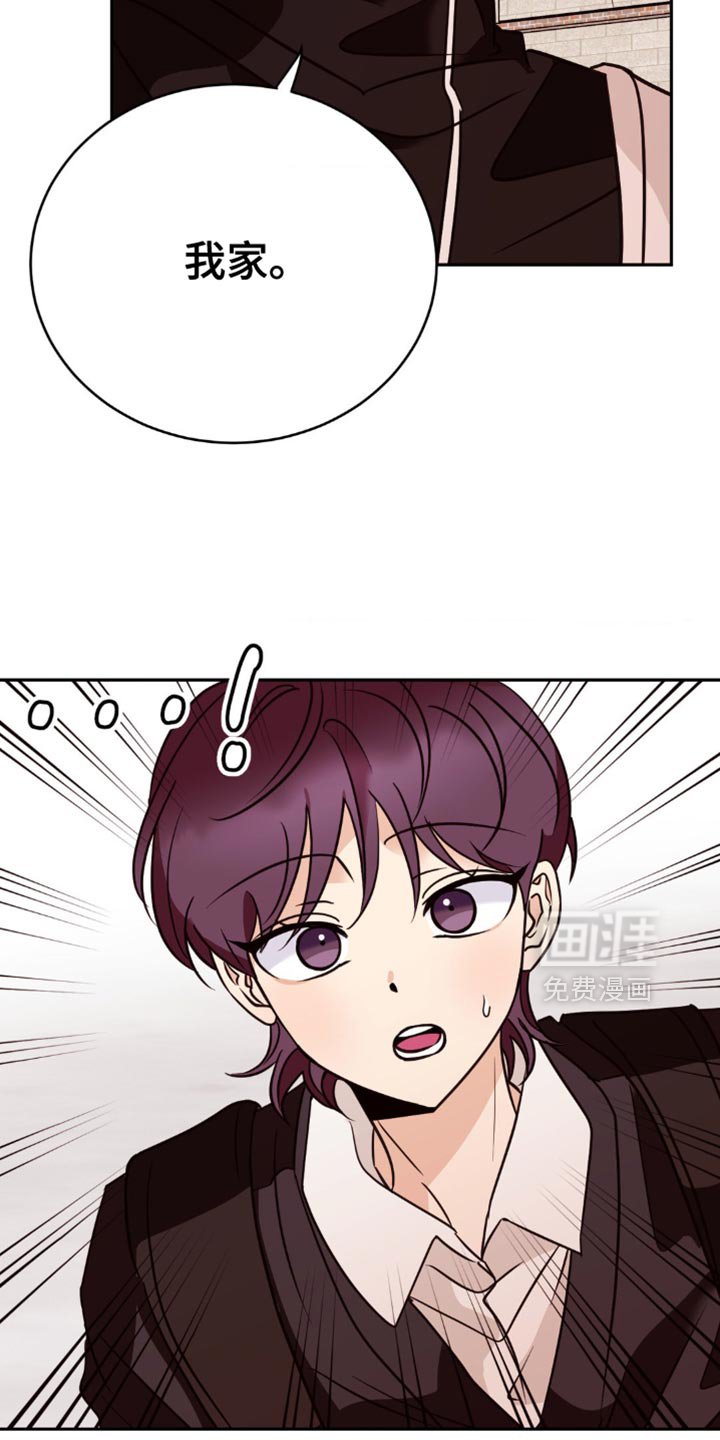 第46章：去我家看猫