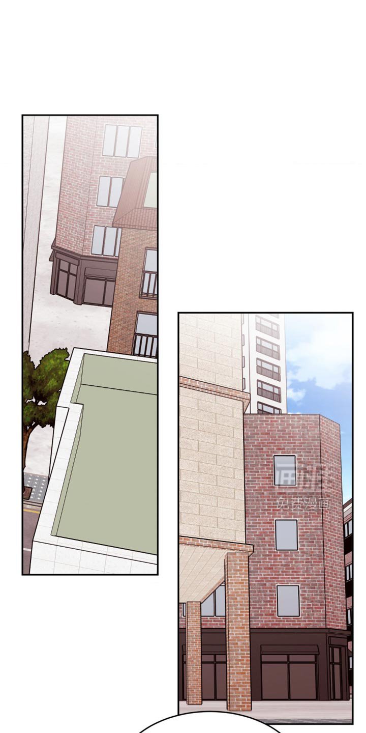 第46章：去我家看猫