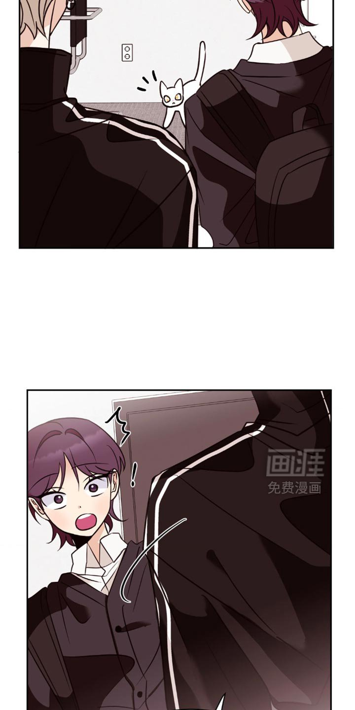 第46章：去我家看猫