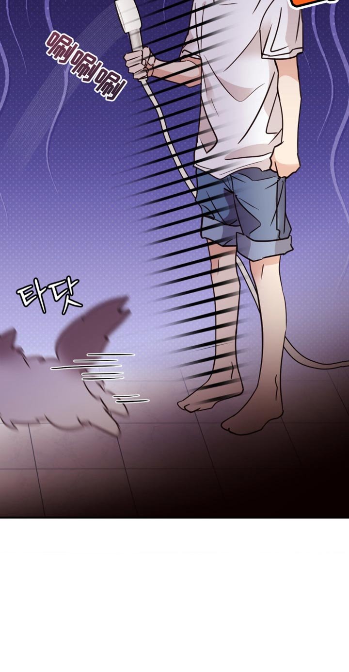 第47章：逃跑了