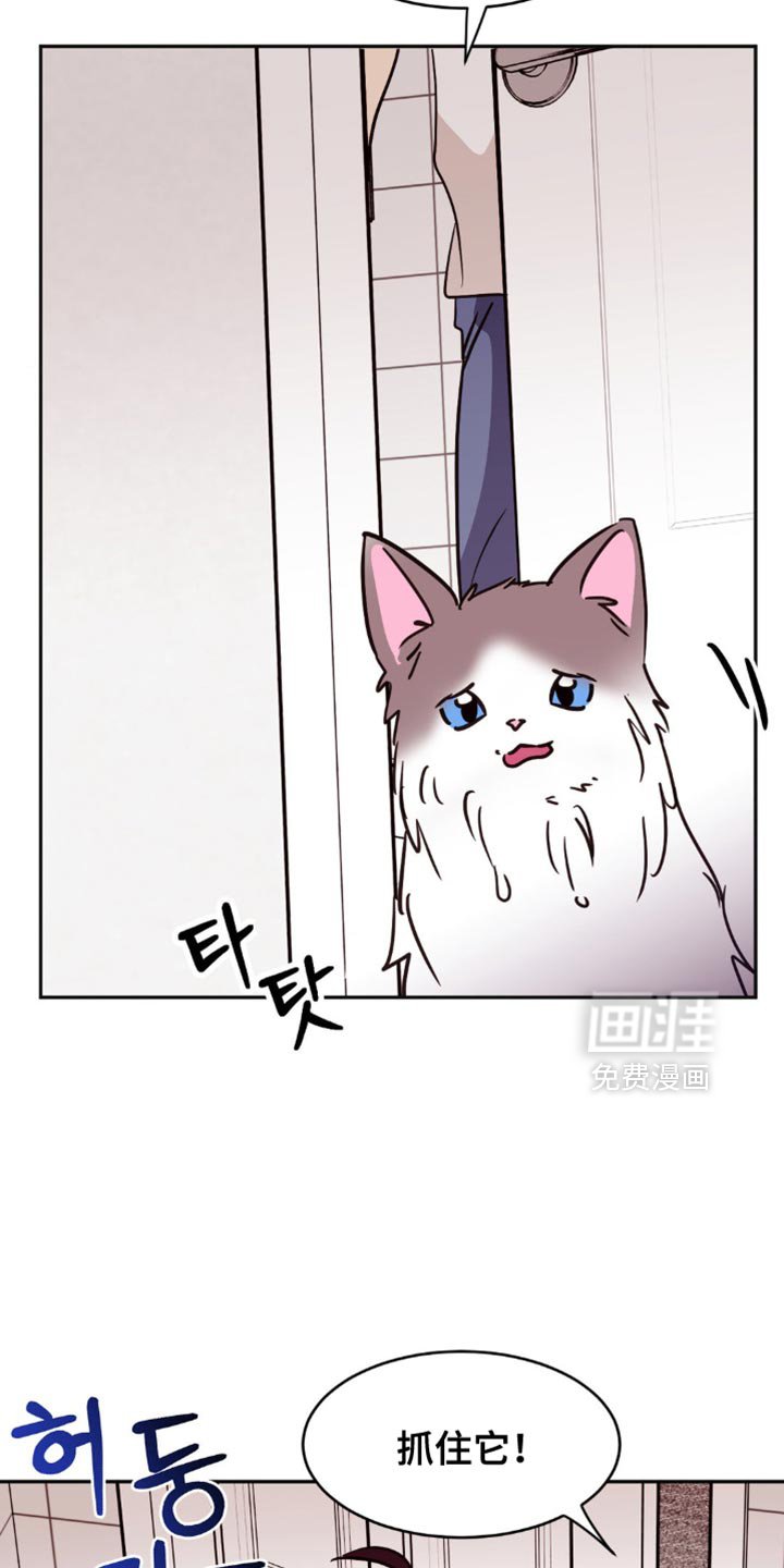 第47章：逃跑了