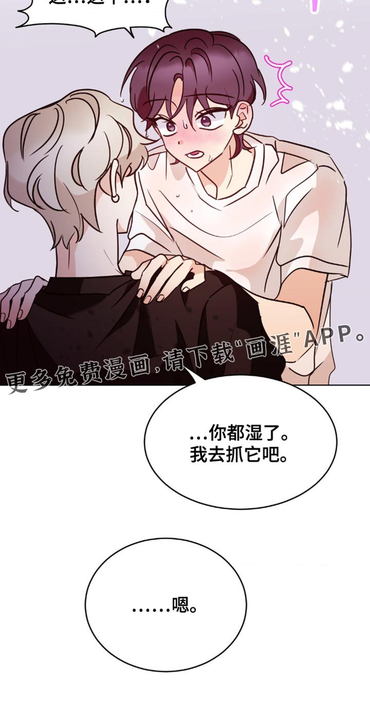 第47章：逃跑了