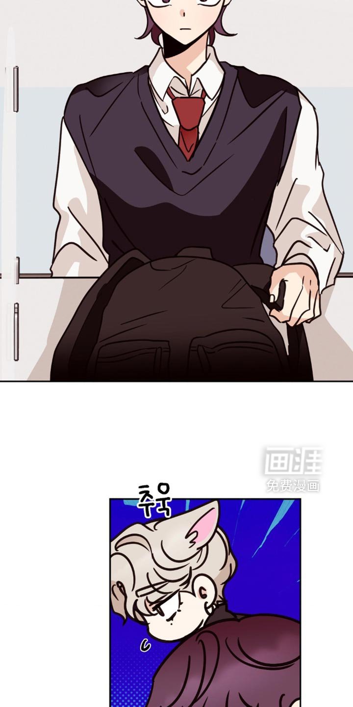第65章：让人在意
