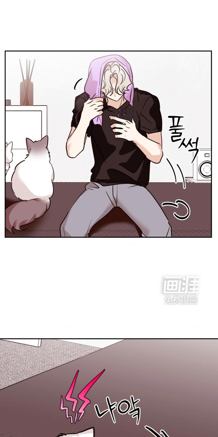 第68章：没有任何变化的意思
