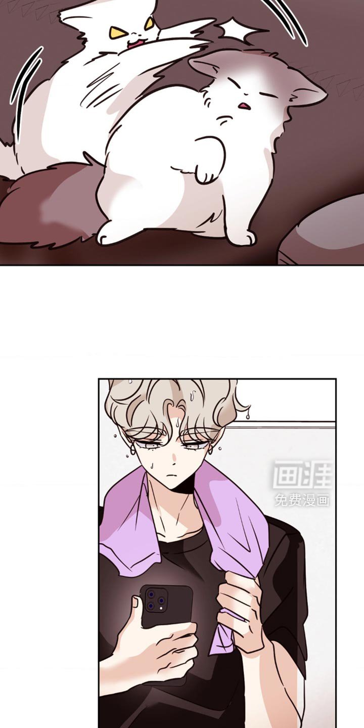第68章：没有任何变化的意思