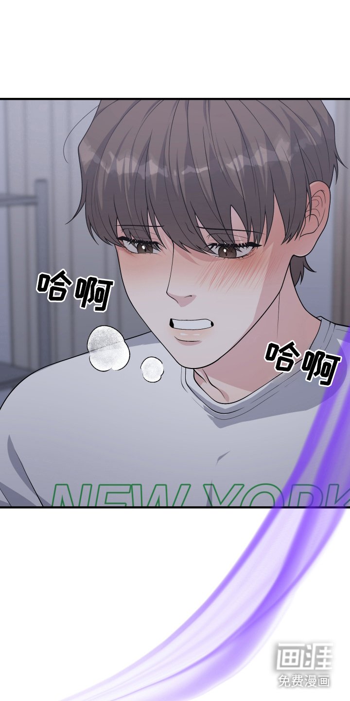 第13章：信息素