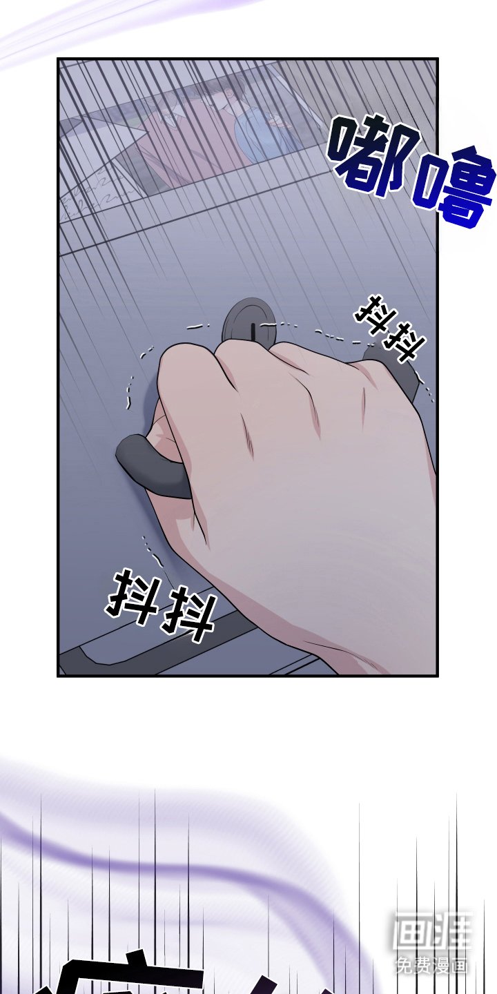 第13章：信息素