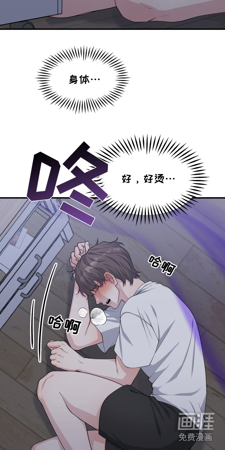 第13章：信息素