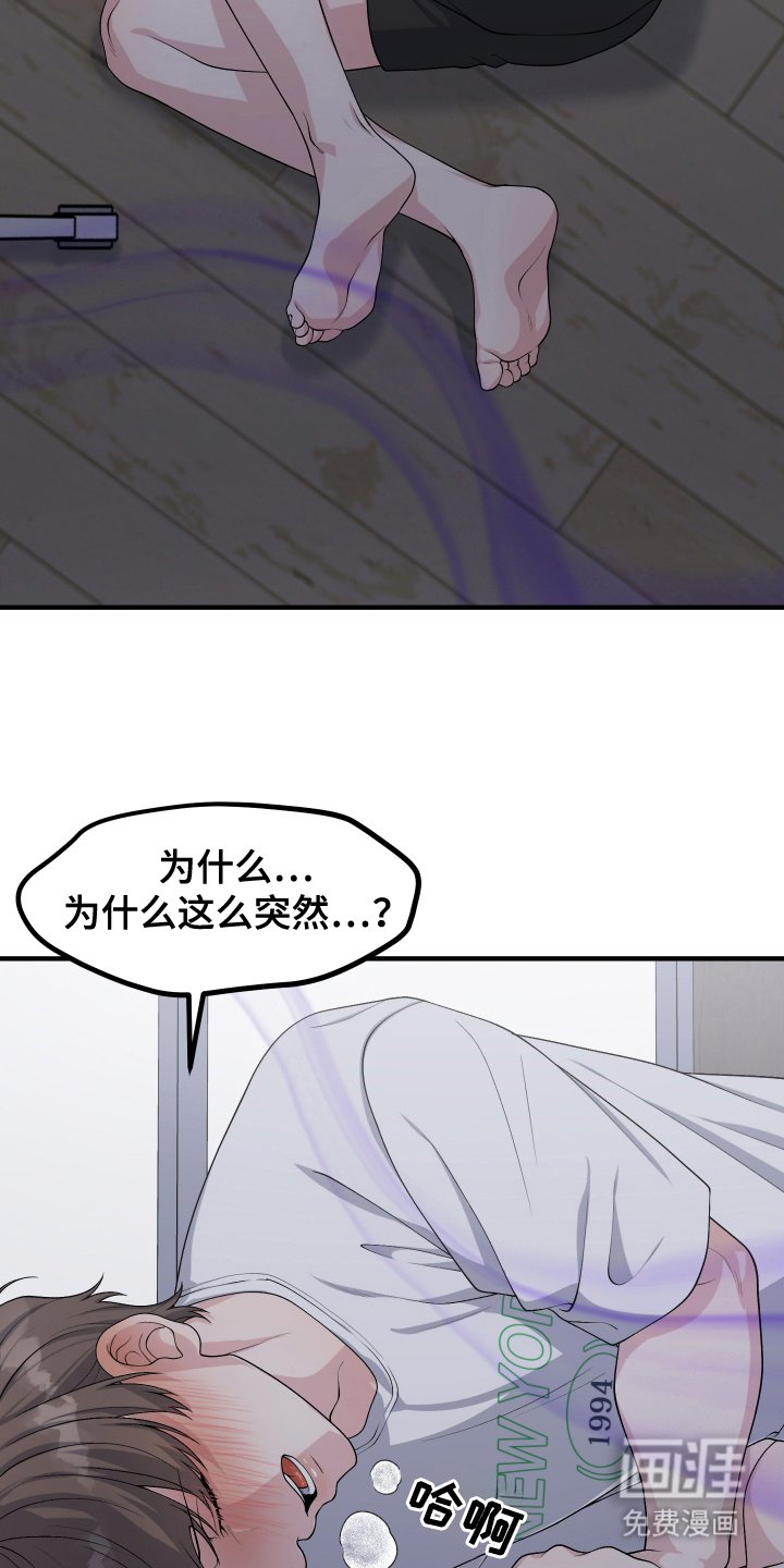 第13章：信息素