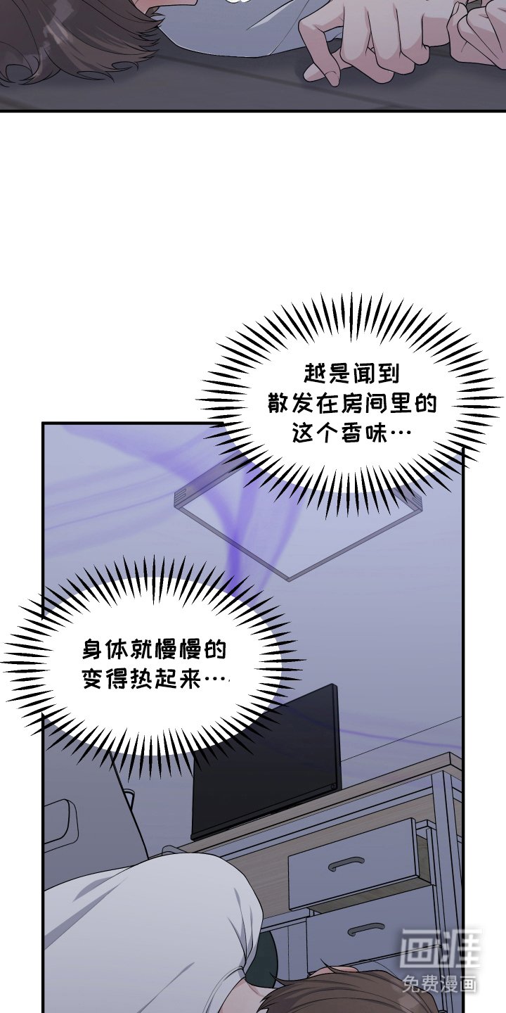 第13章：信息素