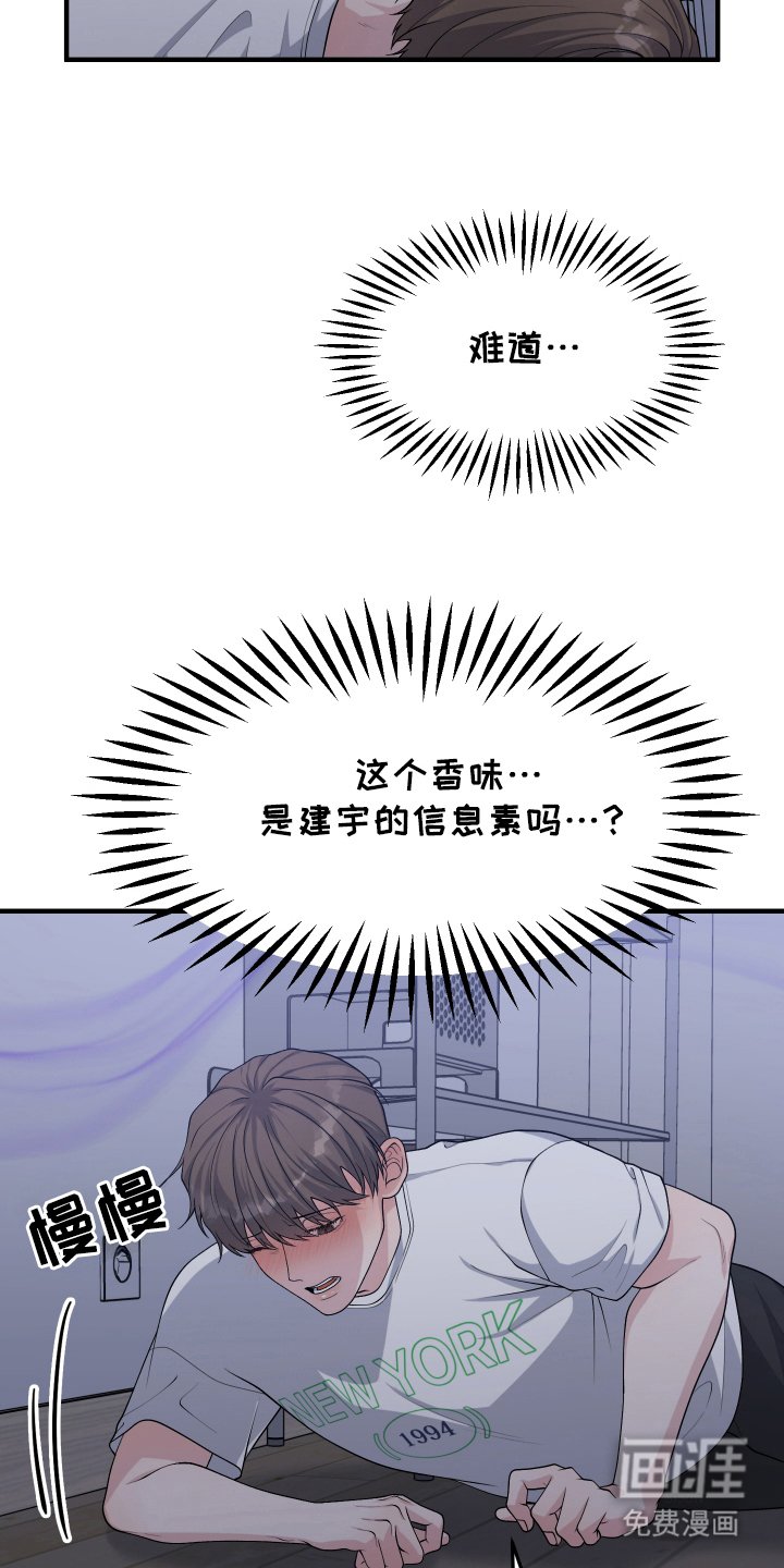 第13章：信息素