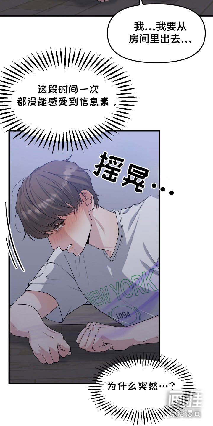 第13章：信息素