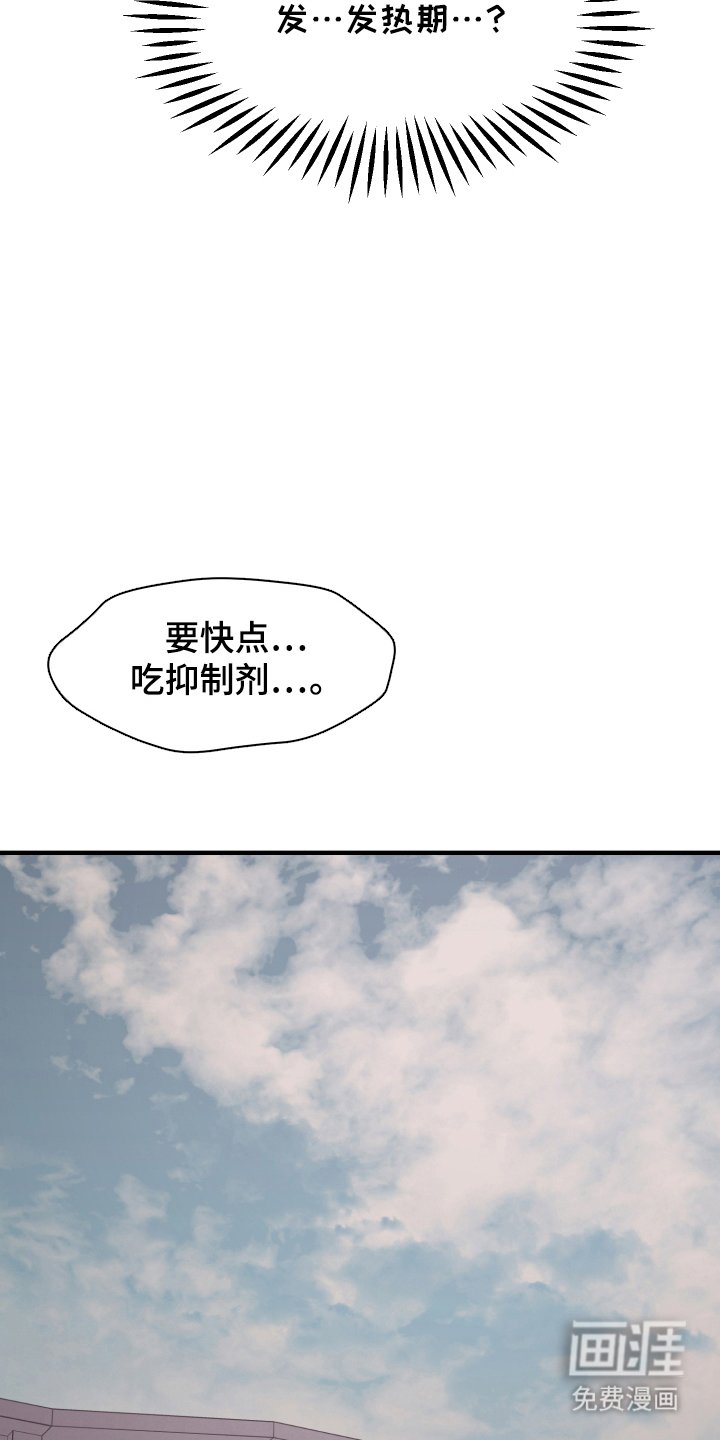 第13章：信息素