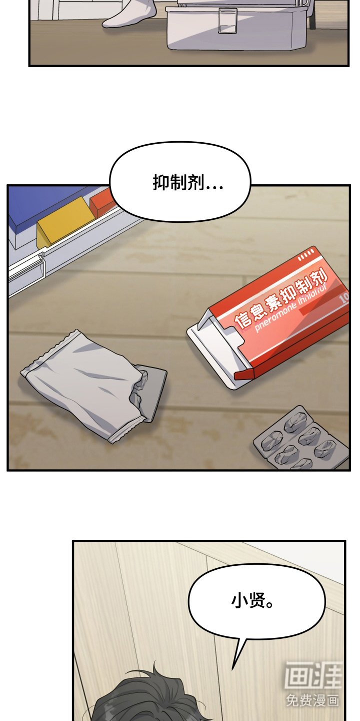 第13章：信息素