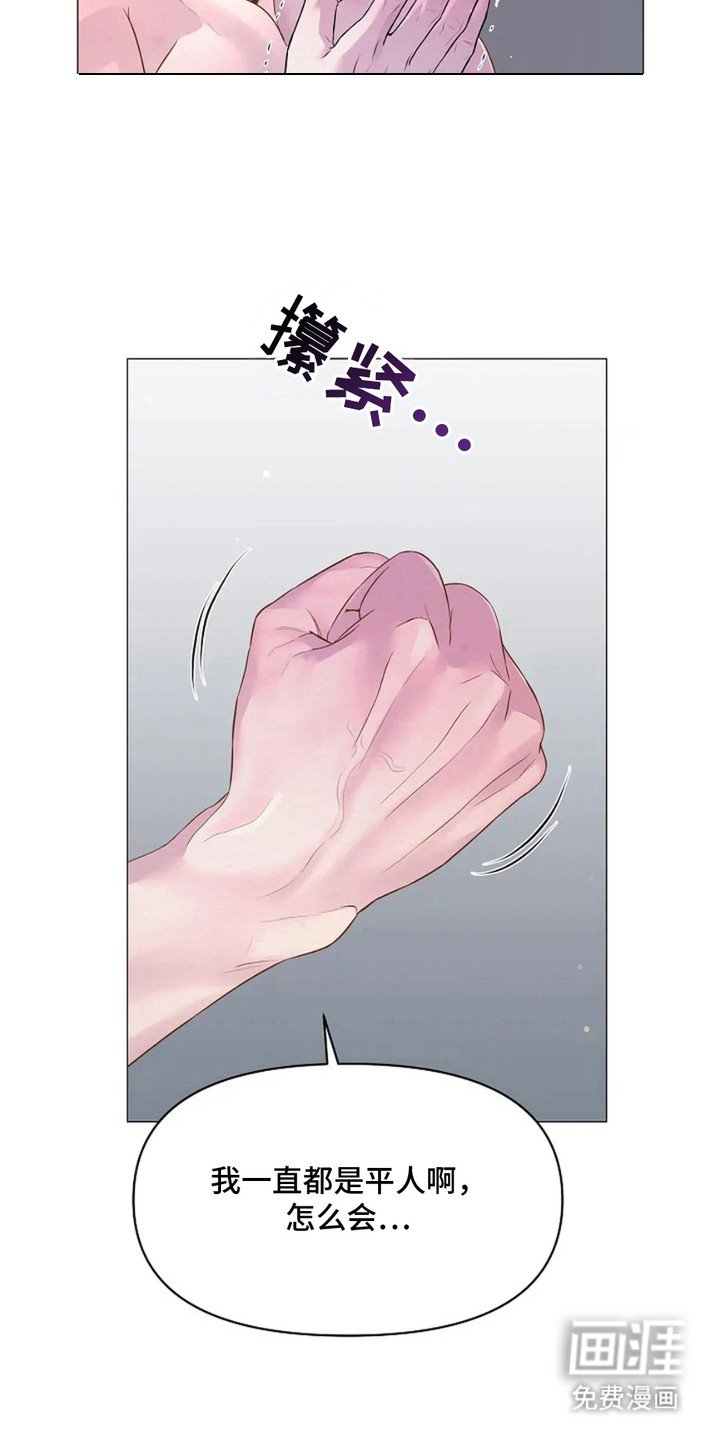 第16章：想不起来