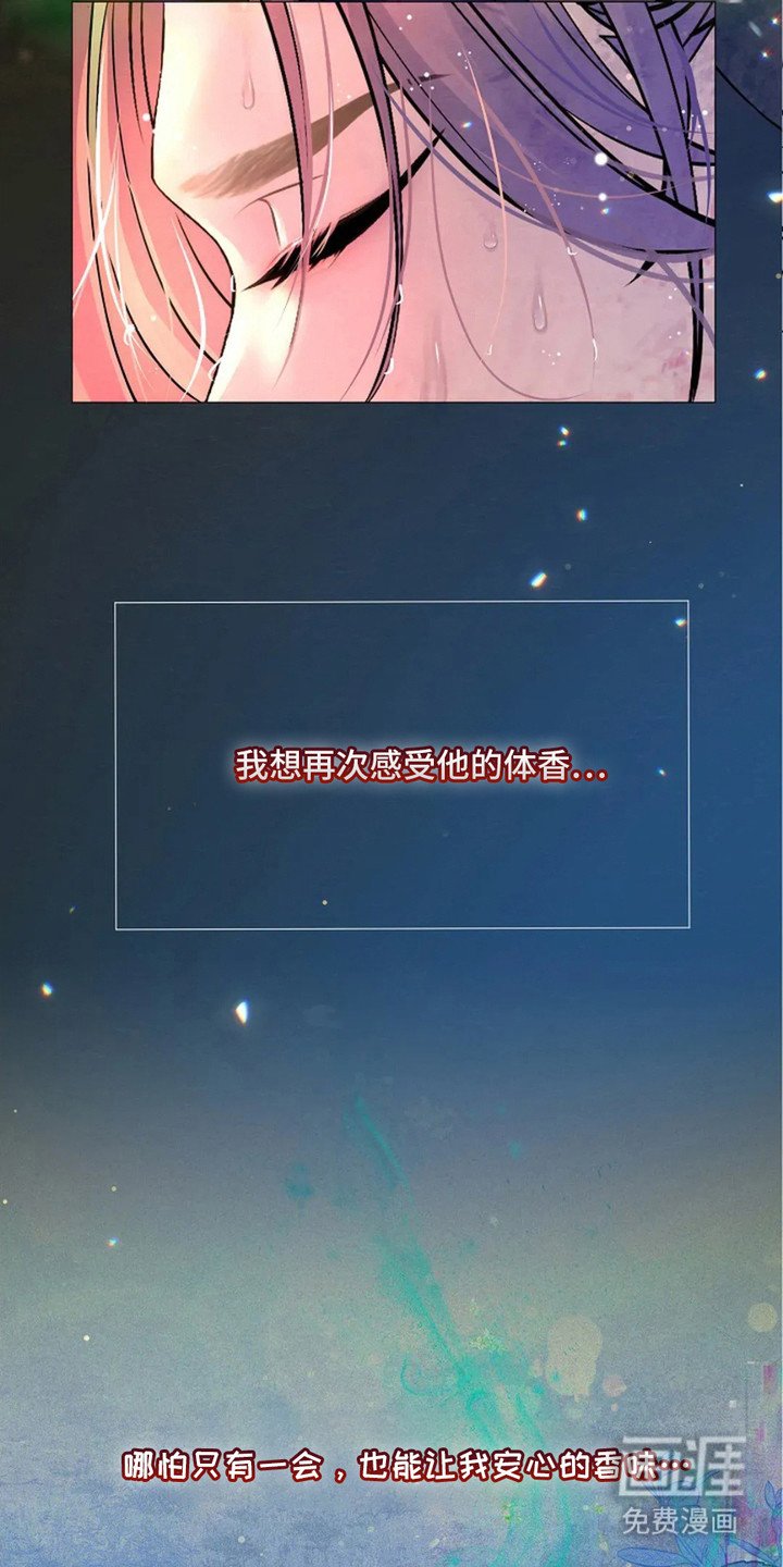 第19章：凯旋