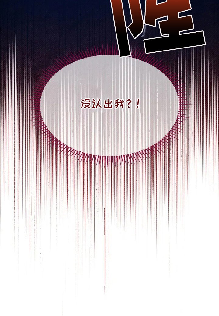 第22章：没认出来