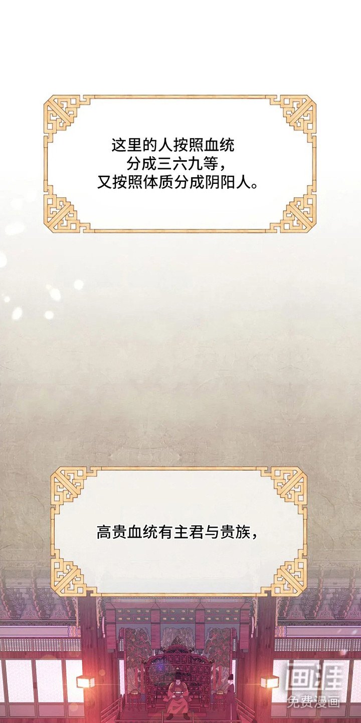 第3章：三六九等