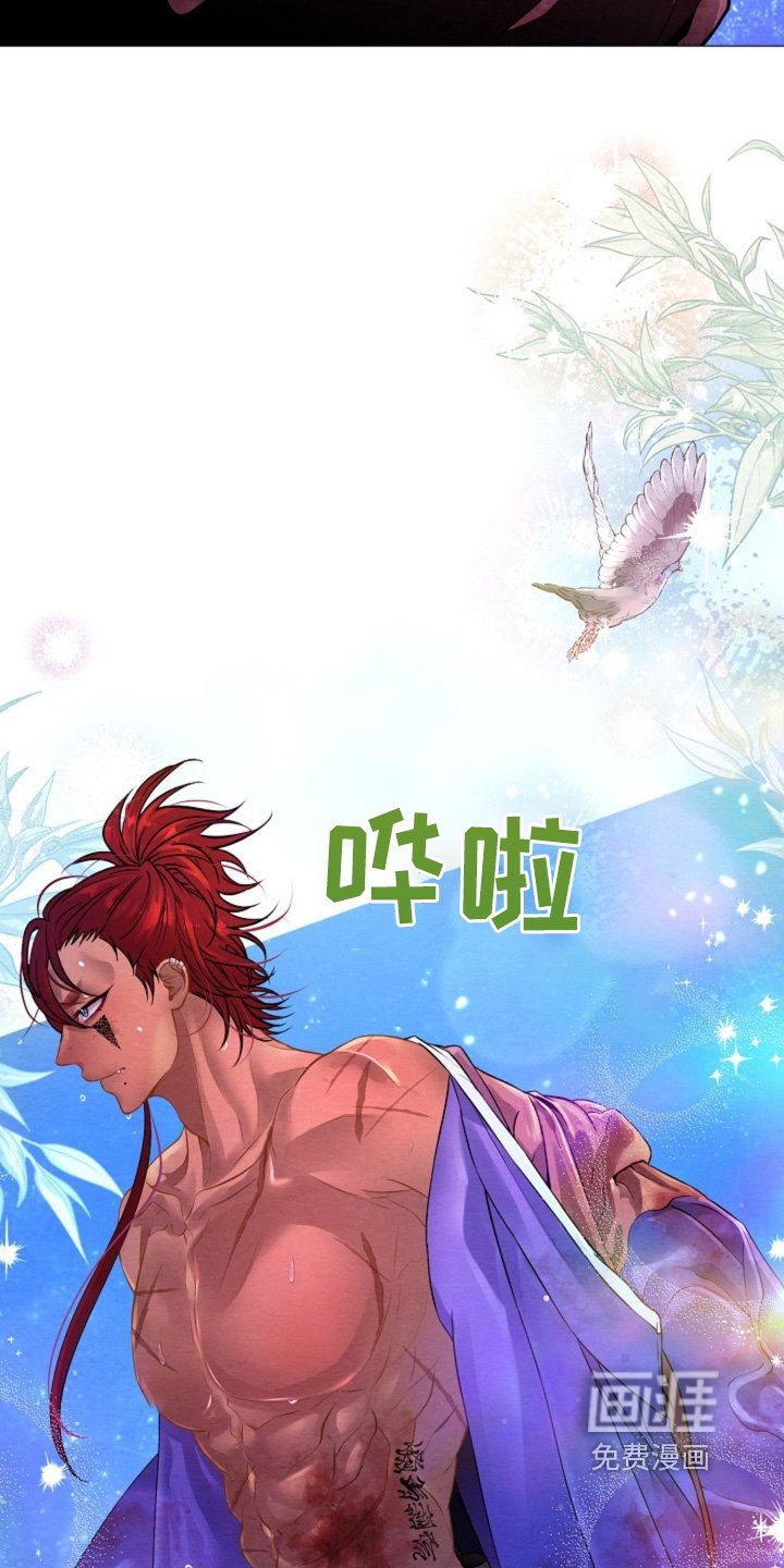第31章：你受伤了