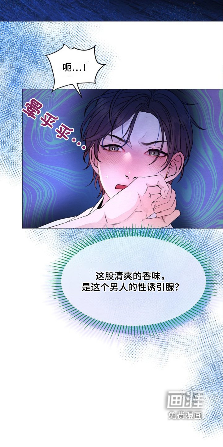 第31章：你受伤了