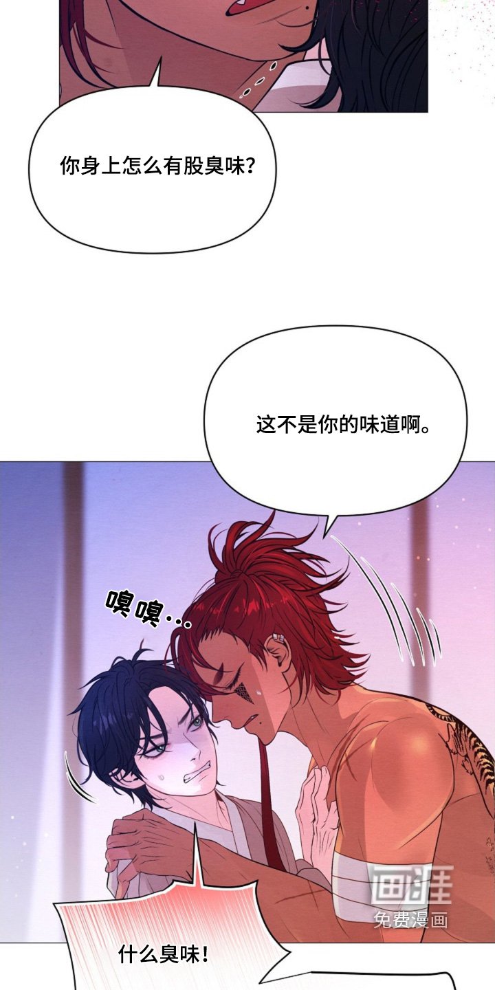 第44章：要平安归来