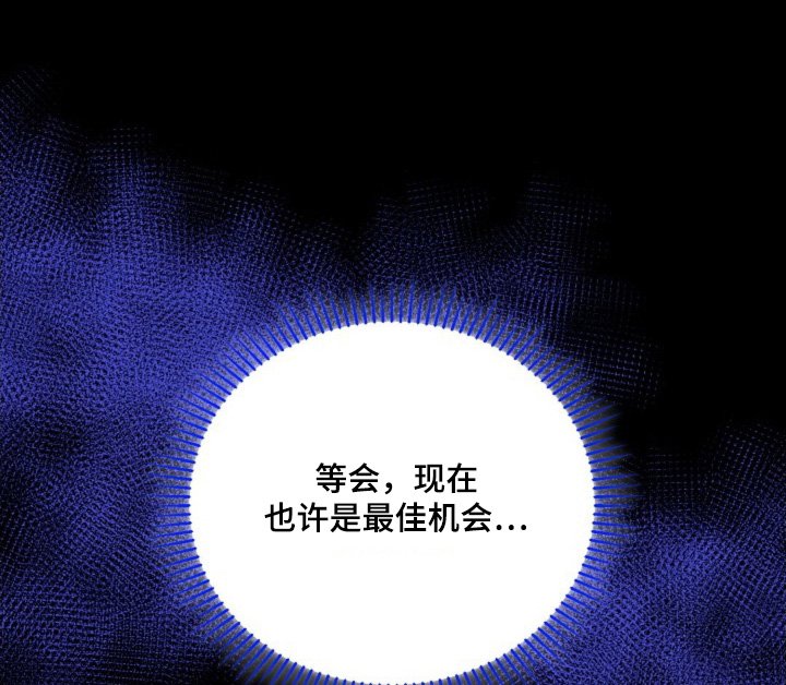 第53章：最佳时机