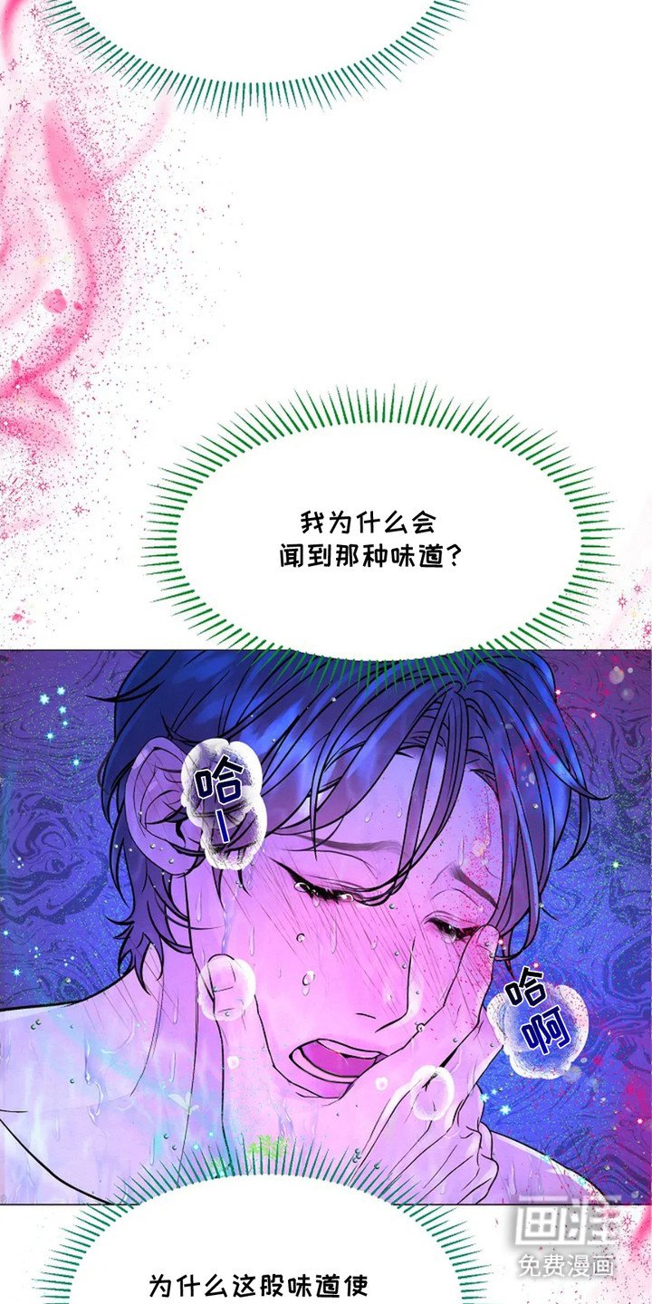 第6章：香甜气味