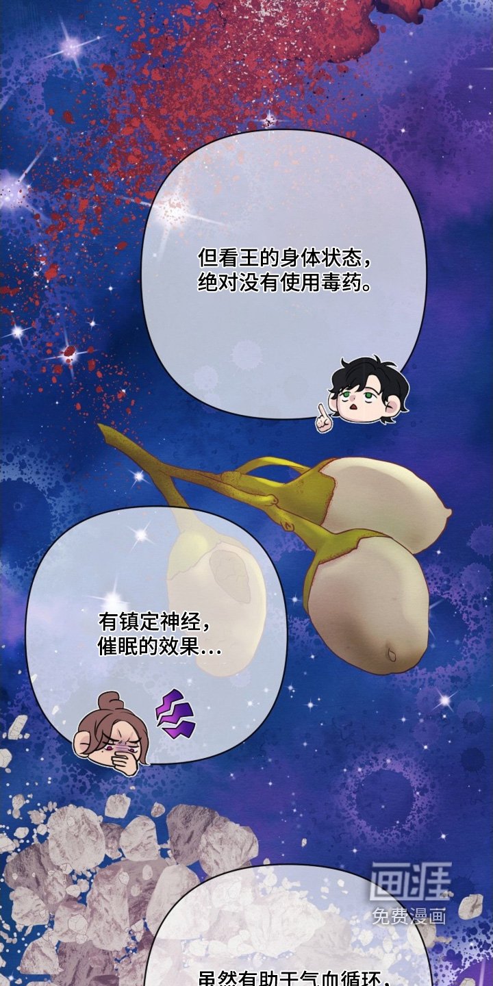 第82章：发生了什么