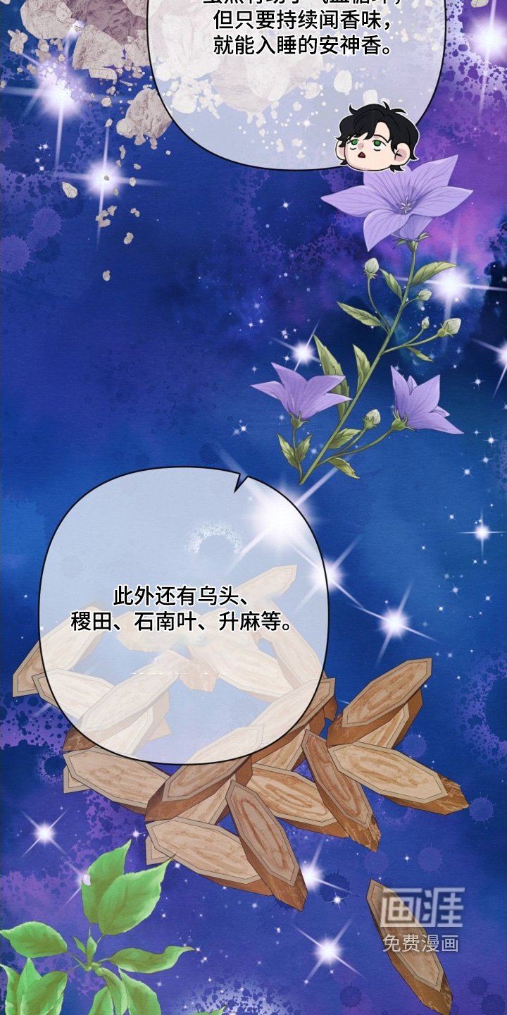 第82章：发生了什么