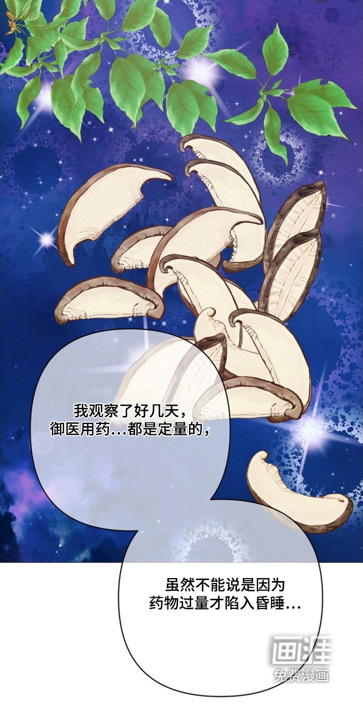 第82章：发生了什么