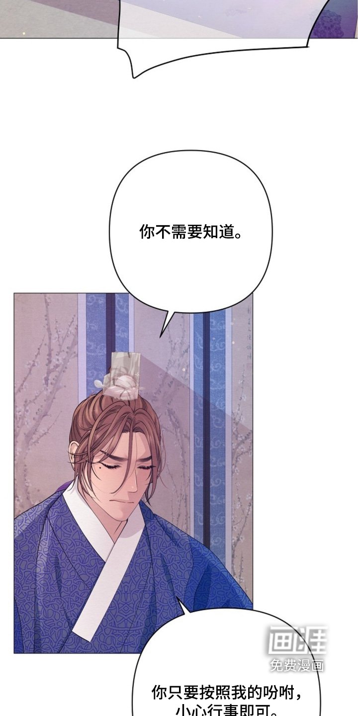 第82章：发生了什么