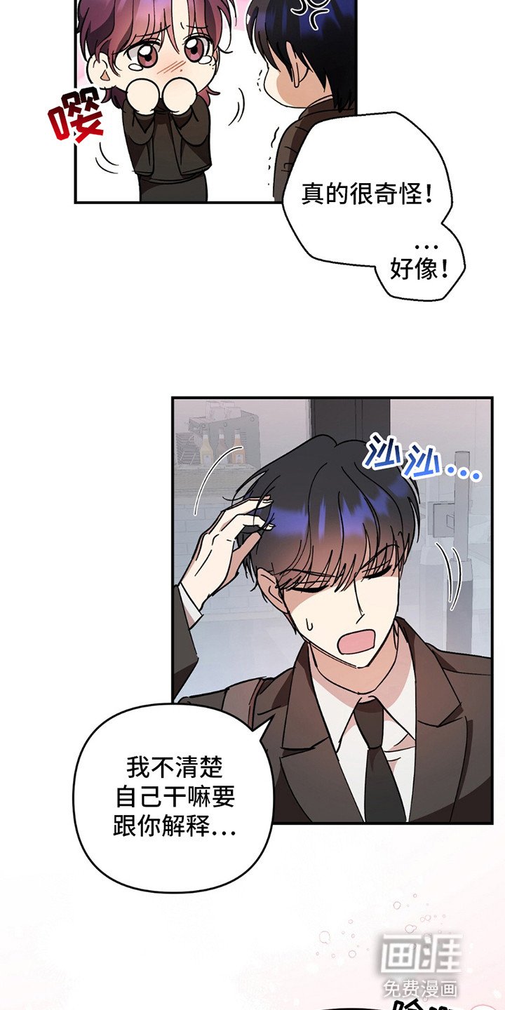 第4章：小绿茶