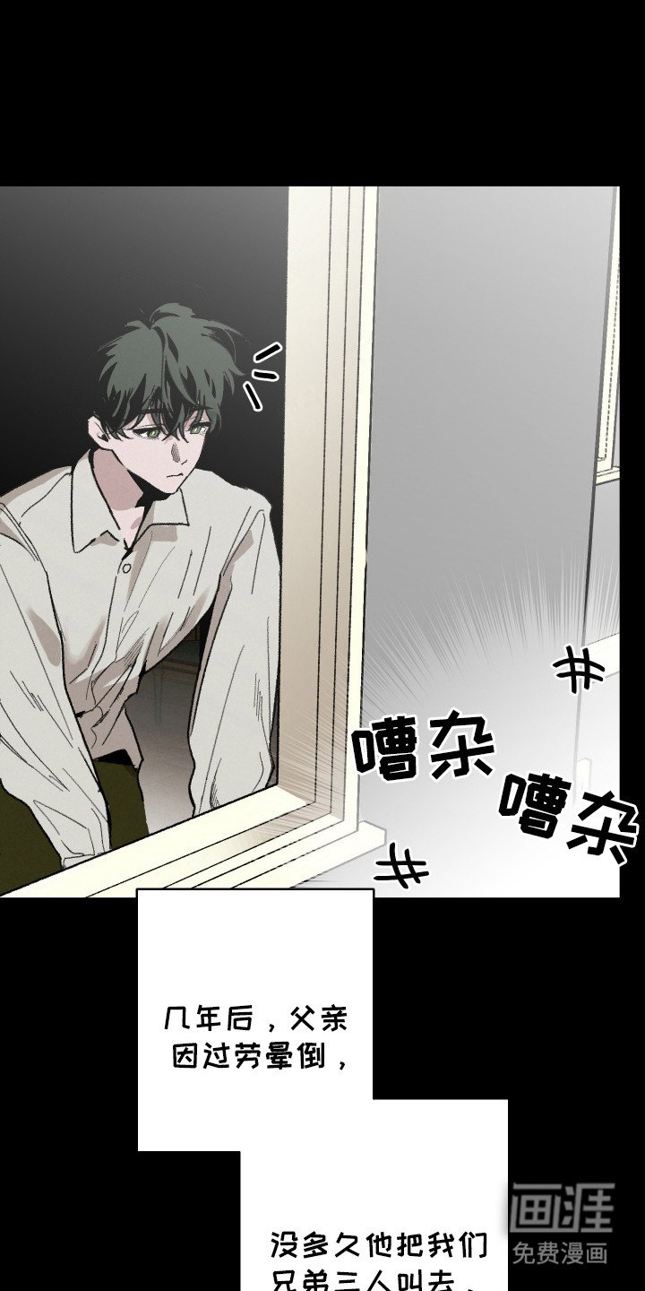 第15章：变数