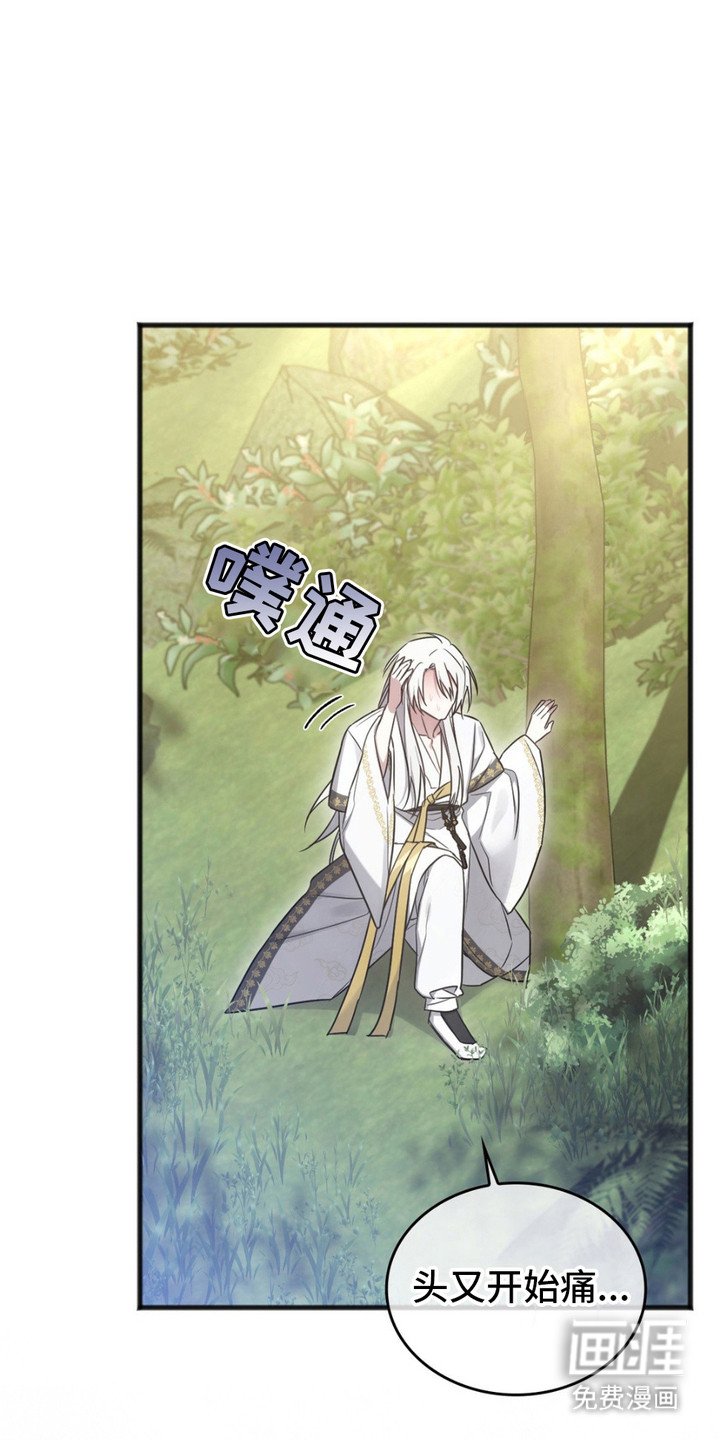 第13章： 过去的记忆