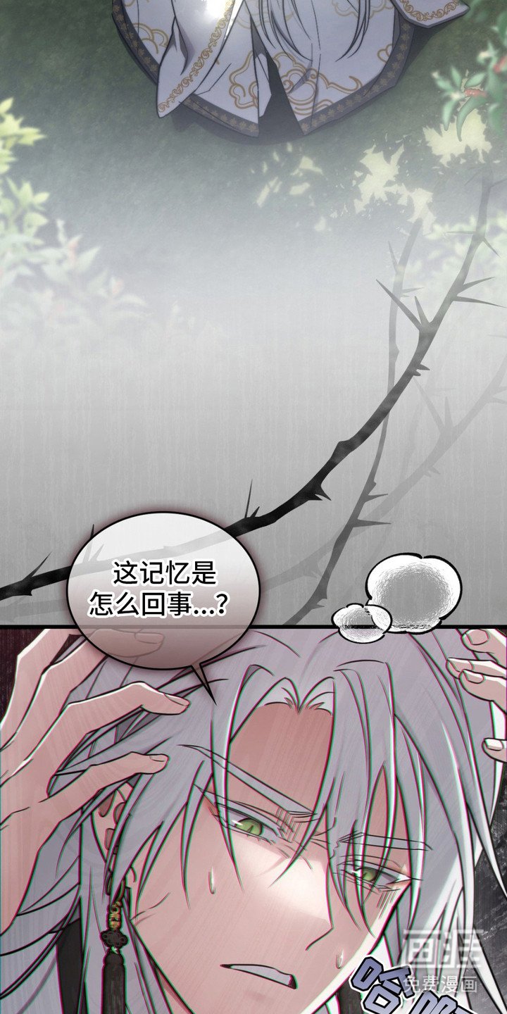 第13章： 过去的记忆