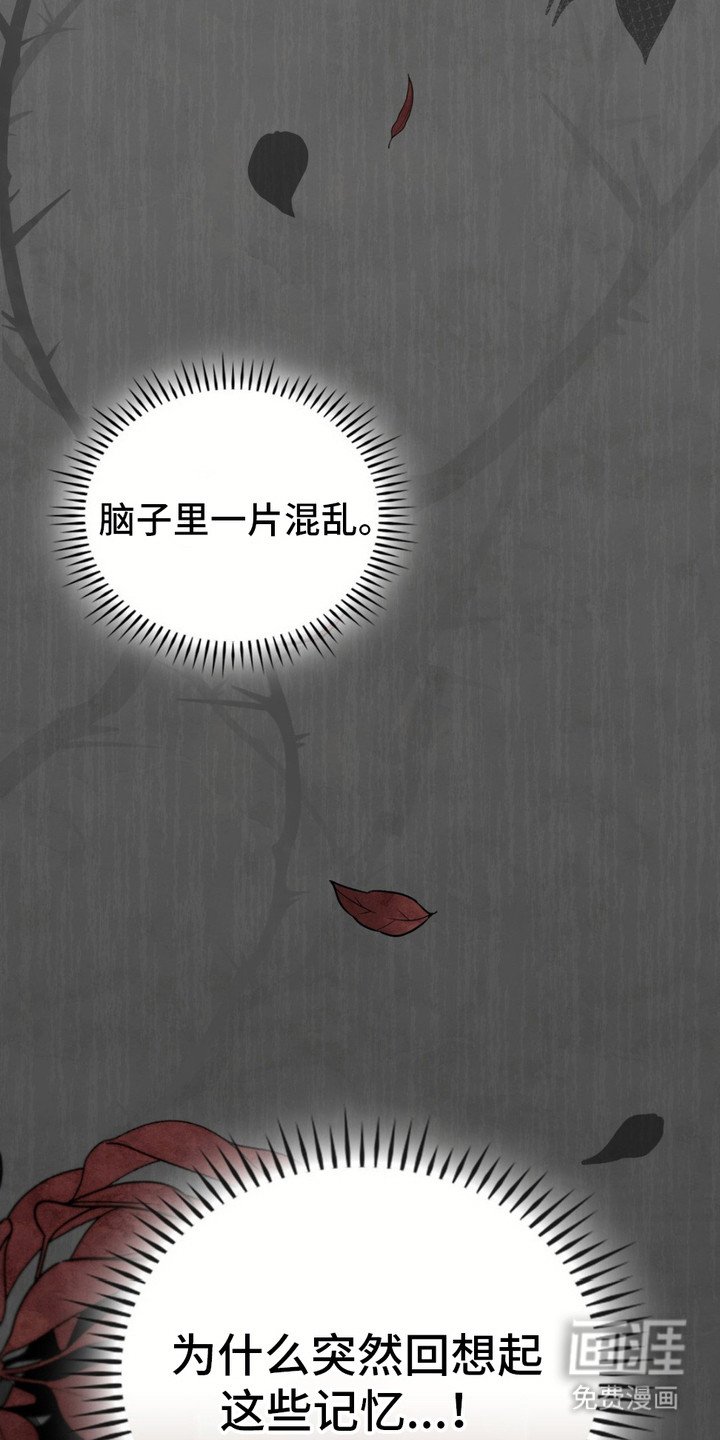 第13章： 过去的记忆