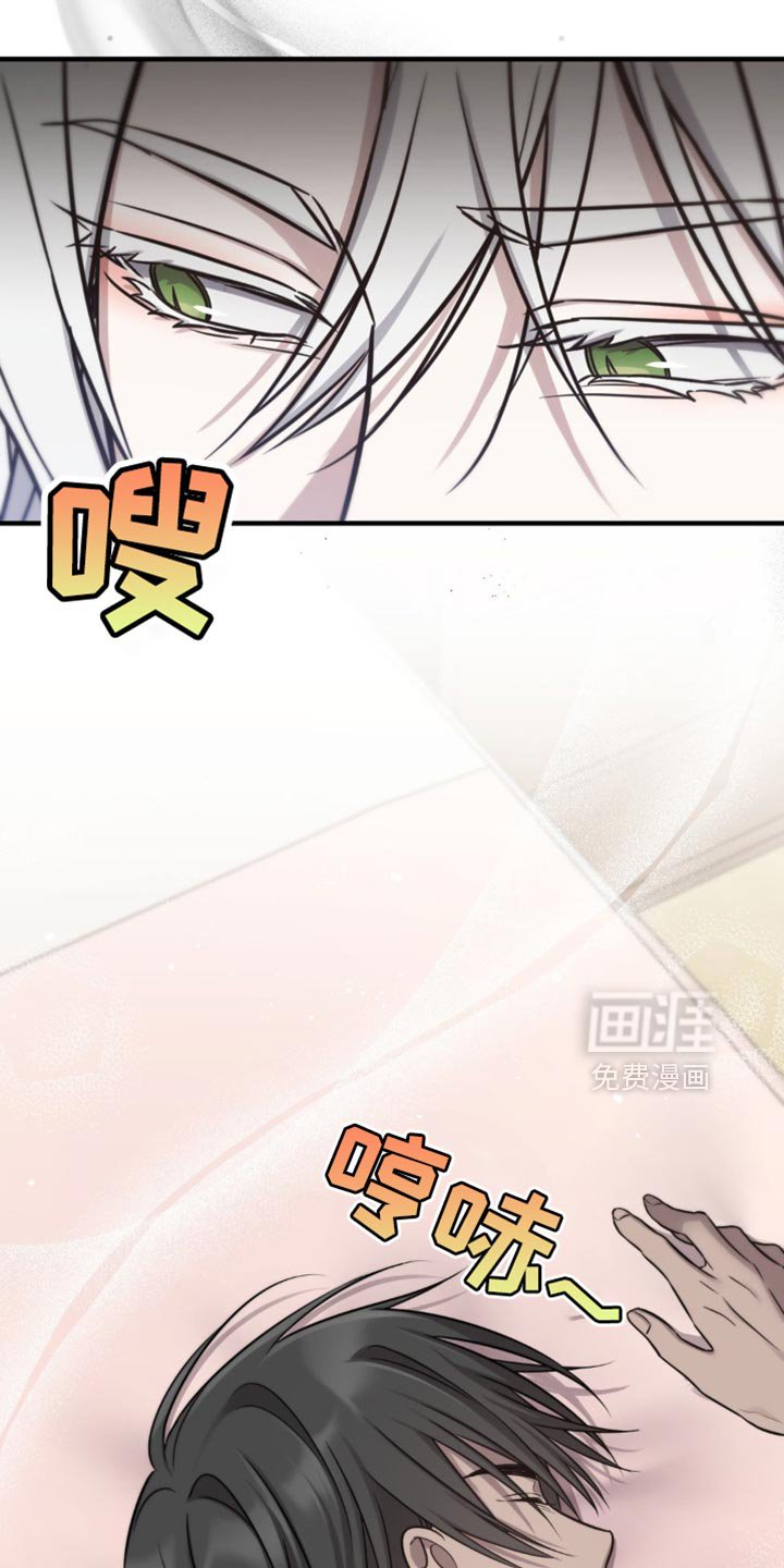 第29章：动摇了我的心